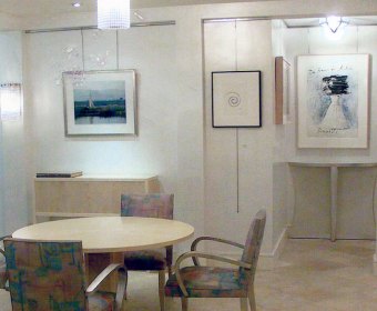 Art-Collectors-Gail-Green-23
